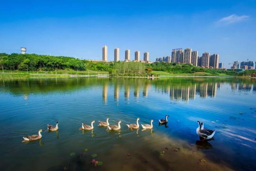 QQ截图20220212210638.jpg