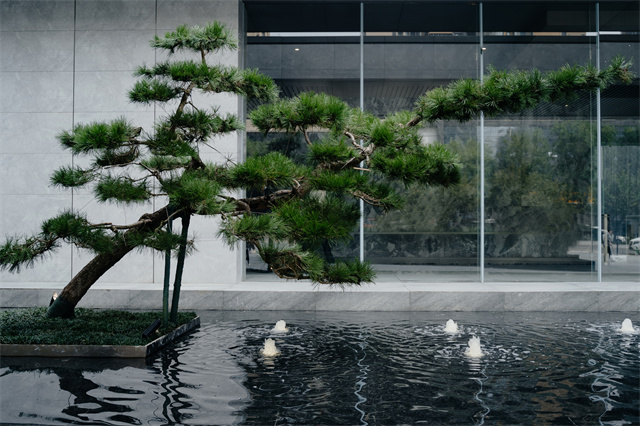 image5.jpg