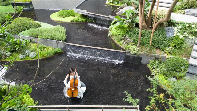 image5.jpg