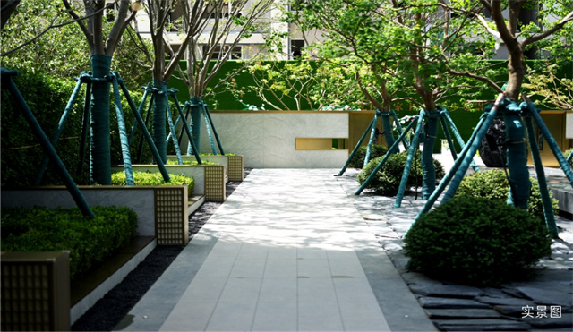 image1.jpg