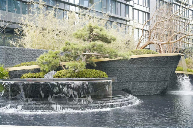 image1.jpg