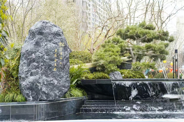 image10.jpg