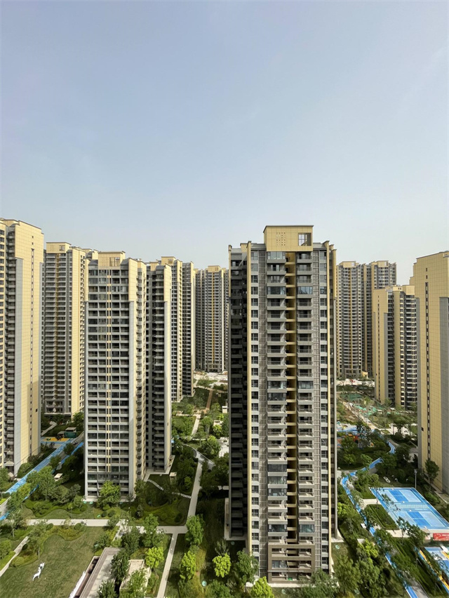 image12.jpg