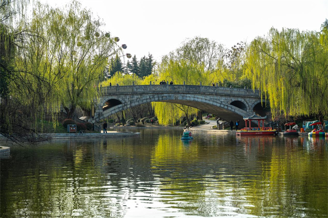 image22.jpg