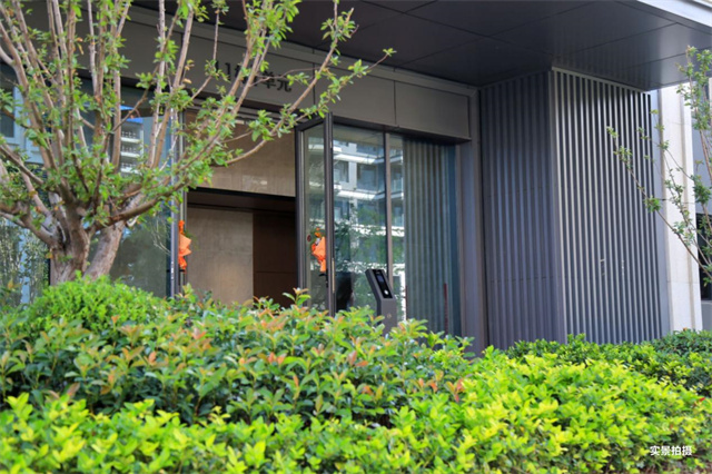 image10.jpg