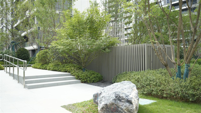 image3.jpg