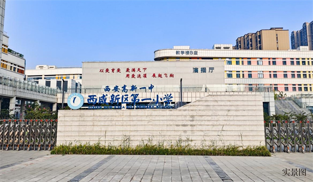 image1.jpg