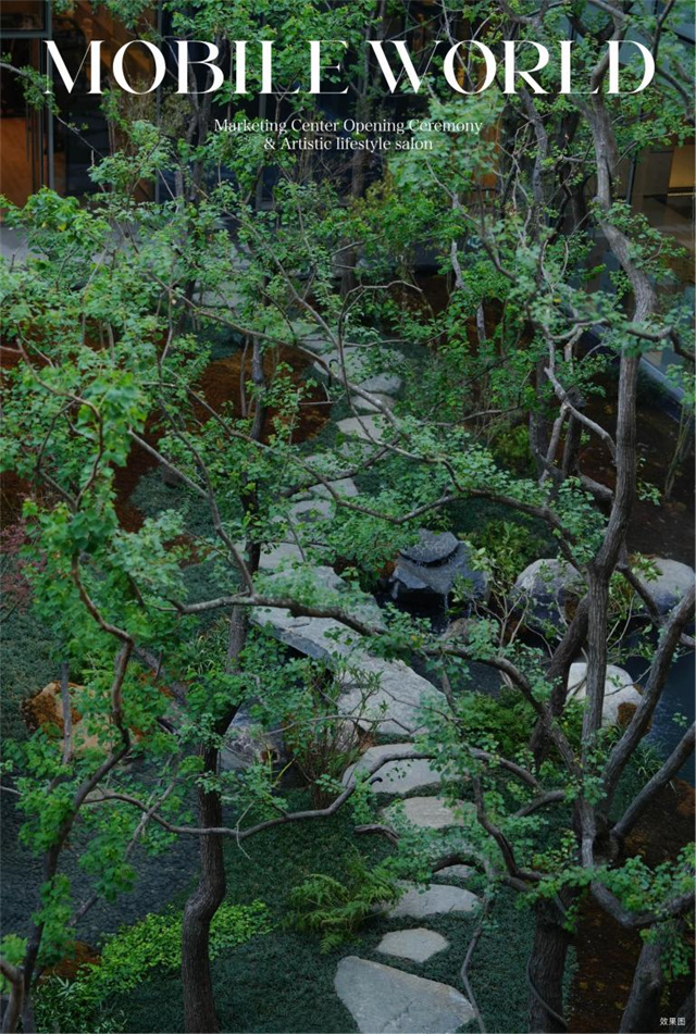 image16.jpg