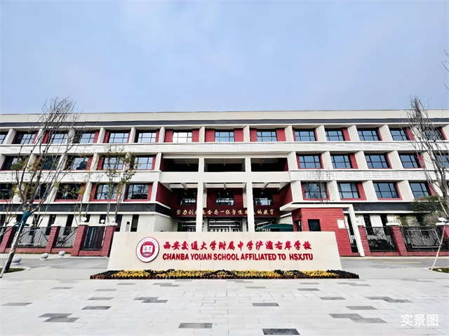 image4.jpg