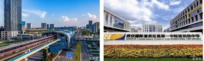 1769260362802044.jpg 4.jpg