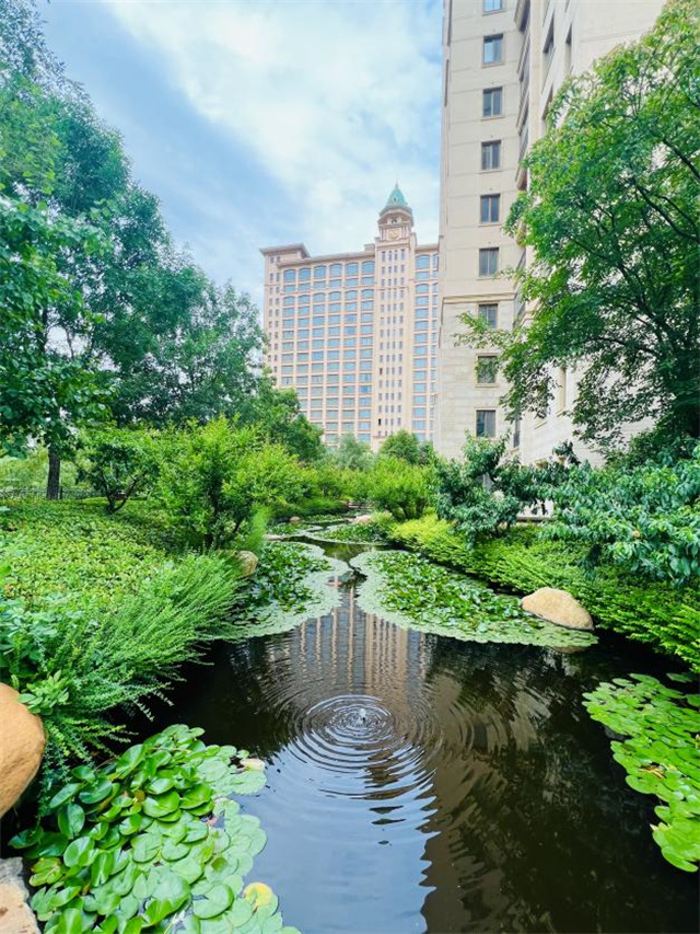 1775006566662085.jpg image1.jpg