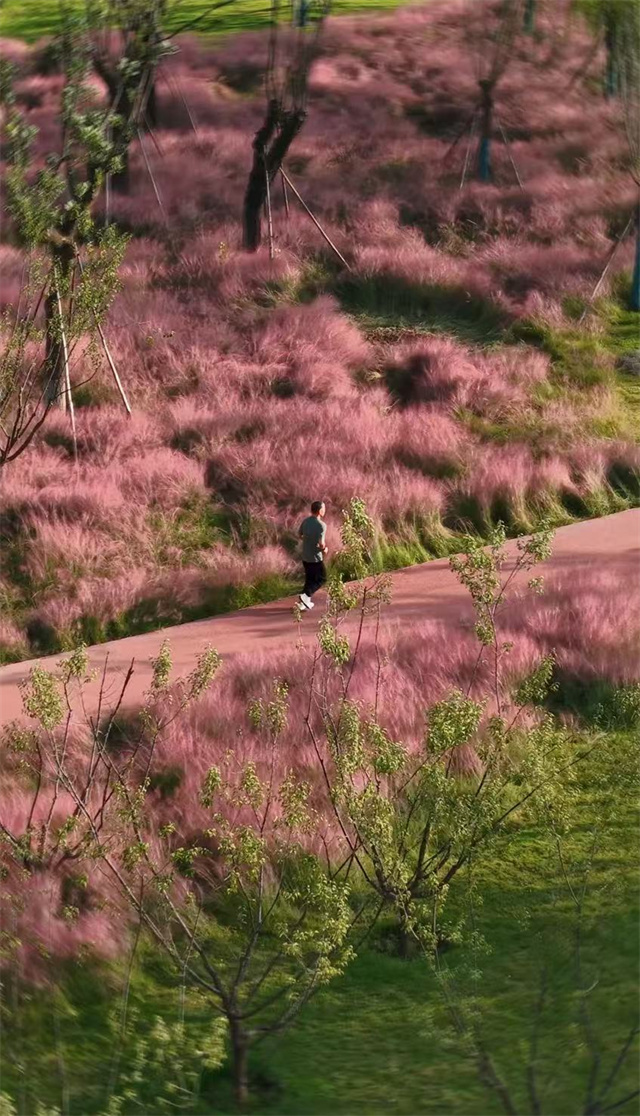 1775221436614093.jpg image5.jpg